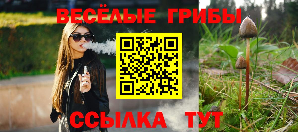 Тула  Галлюциногенные грибы Magic Shrooms  Вход с VPN 